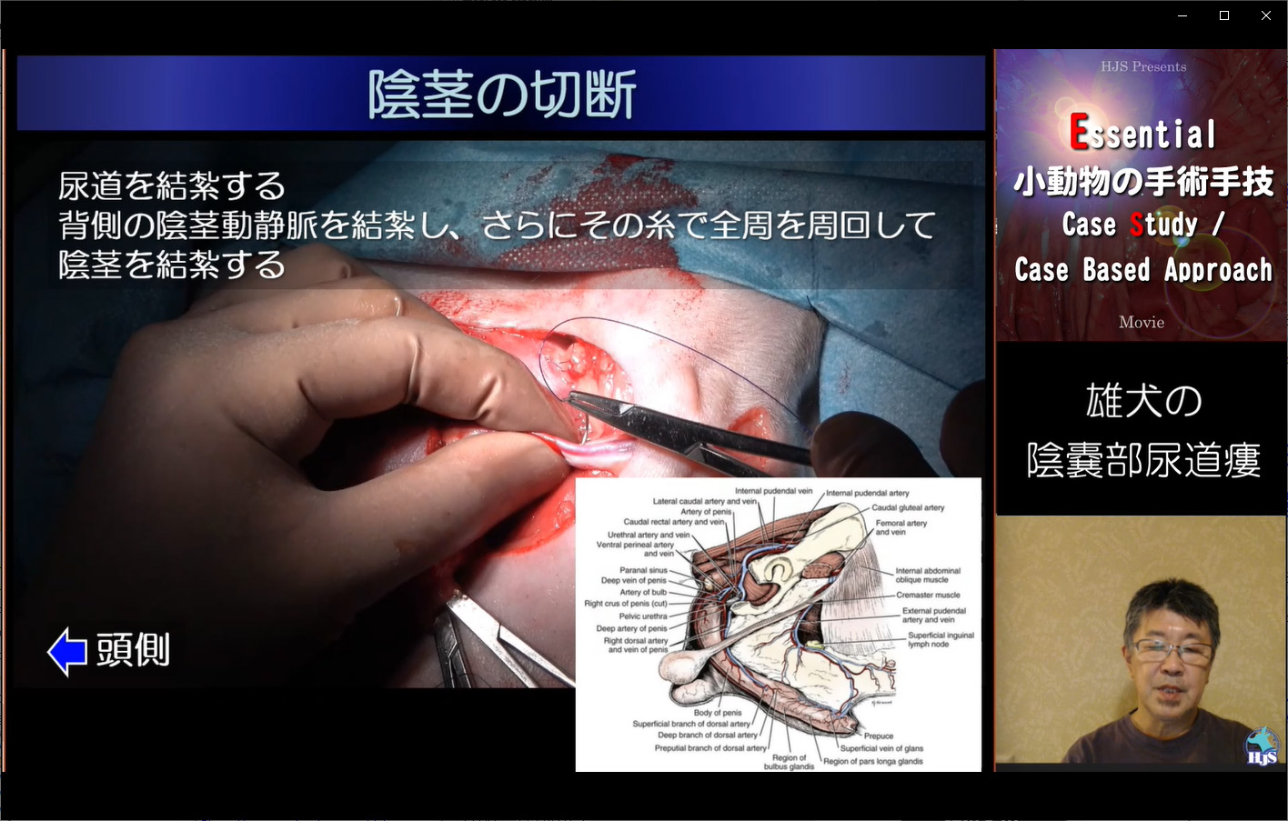 獣医師向け「トリボルナウィルス感染症」を知るオンラインセミナー 【見逃し配信・動画販売】, 書籍＆ＤＶＤ、セミナー