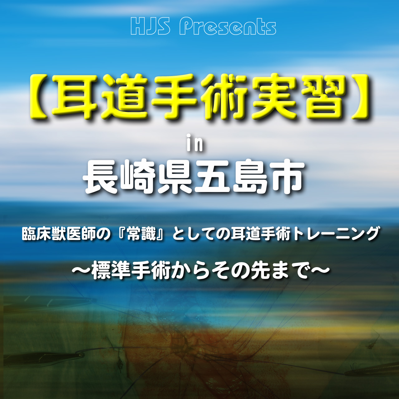 小動物外科手術 上 LLLセミナー-